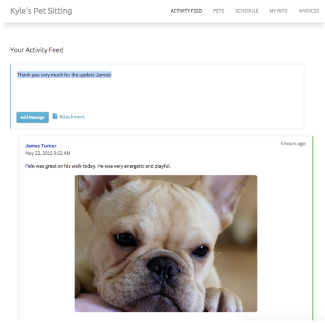 Time To Pet messaging interface